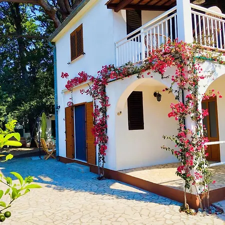 Vikendica House Pinus Pinea