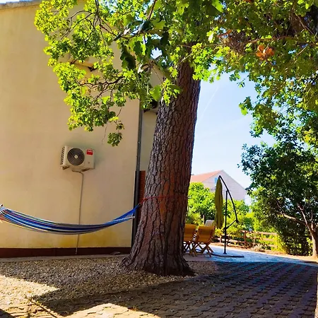 House Pinus Pinea Tatil Evi Viganj