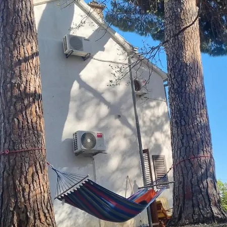Feriehus House Pinus Pinea *